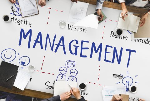 Management